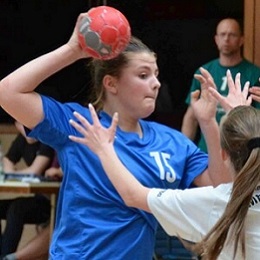 Sportliche Leitung Verein