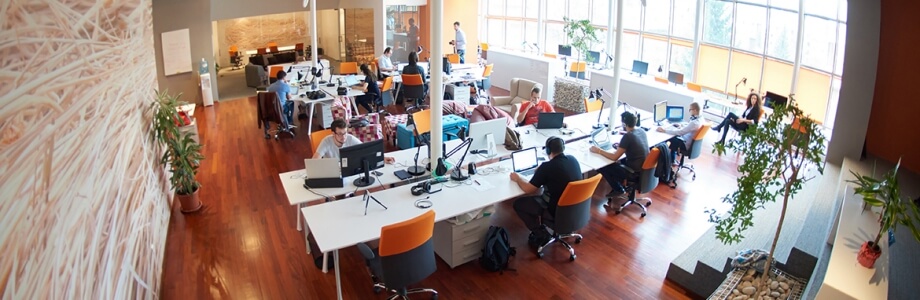 Großraumbüro einer Sportredaktion ist zu erkennen