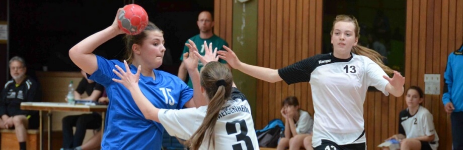Handballerinnen bei einem Mannschaftsspiel