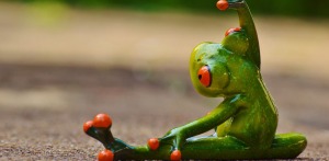 Ein Frosch macht Dehnuebungen
