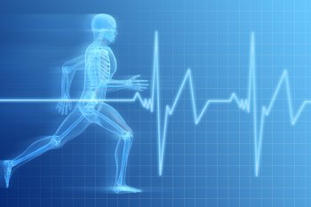 Grafik auf der ein Läufer zu sehen ist mit seinem visualisierten Herzschlag